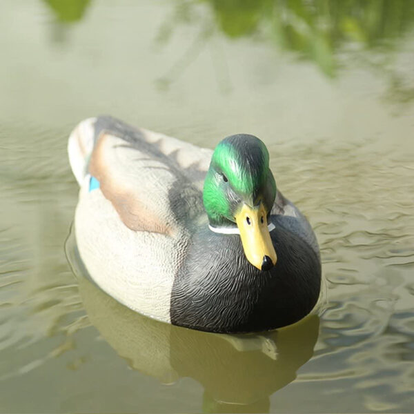 hunting decoys