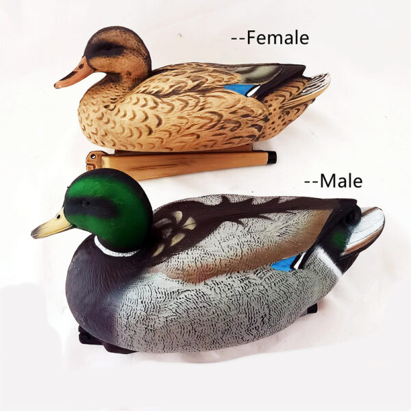 hunting decoys