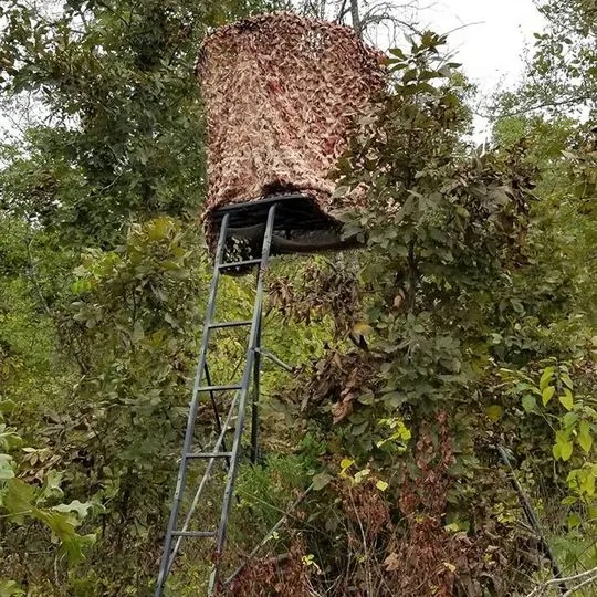 Hunting tripod tree