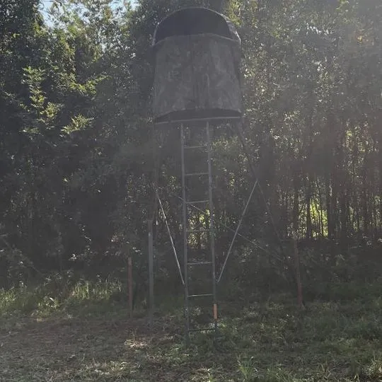 Hunting tripod tree