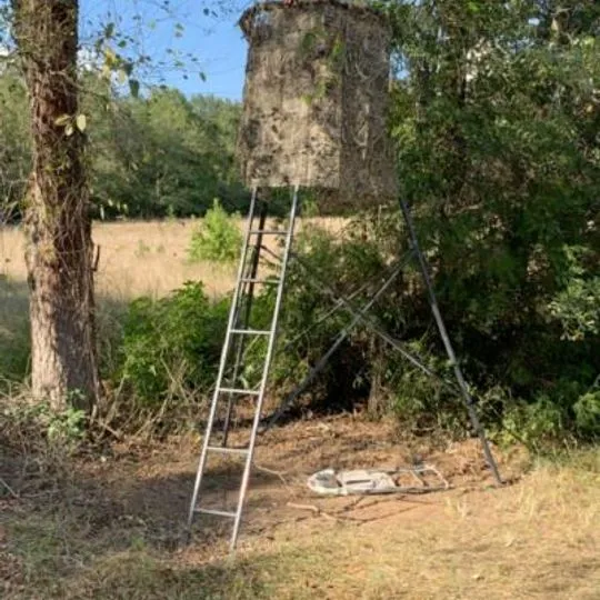 Hunting tripod tree