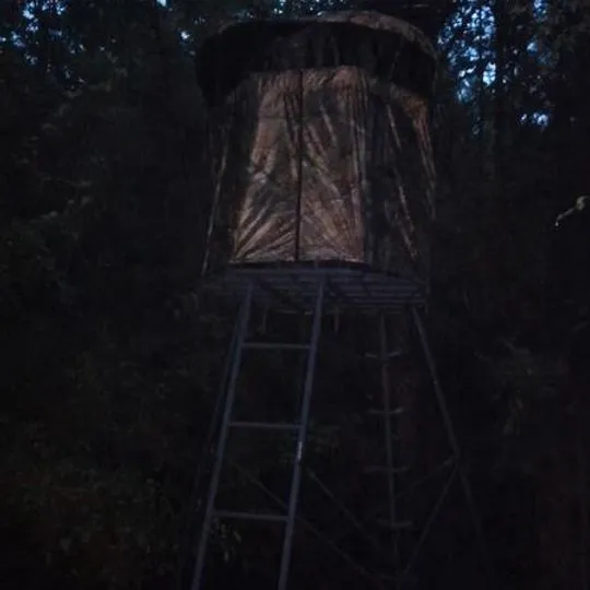 Hunting tripod tree