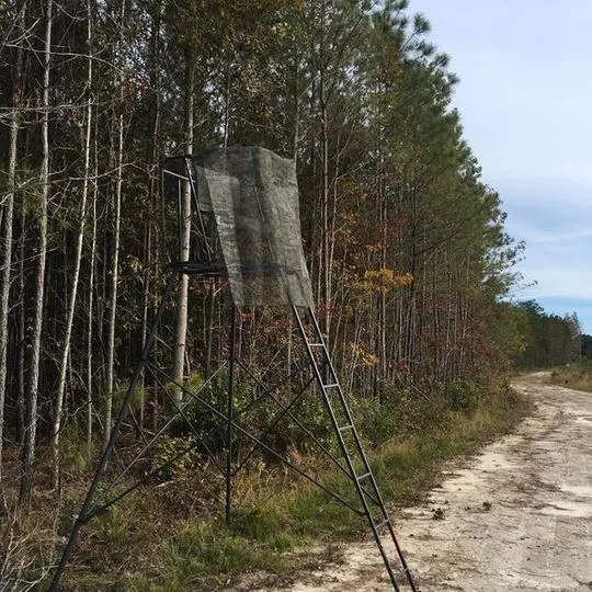 Hunting tripod tree