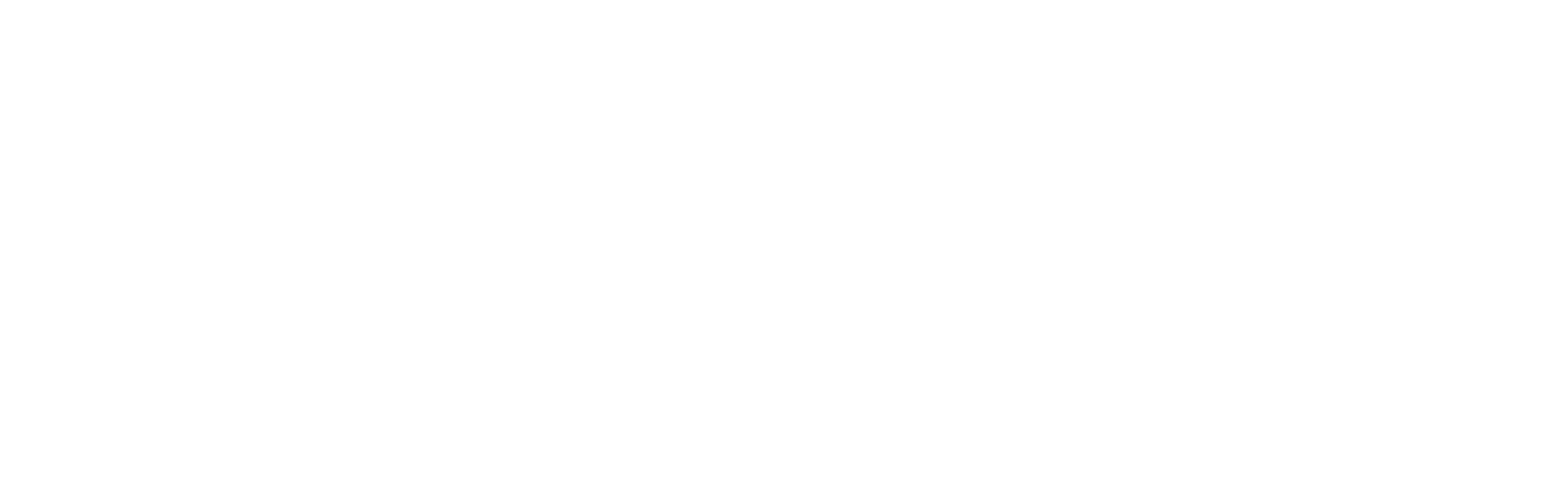 zennison logo