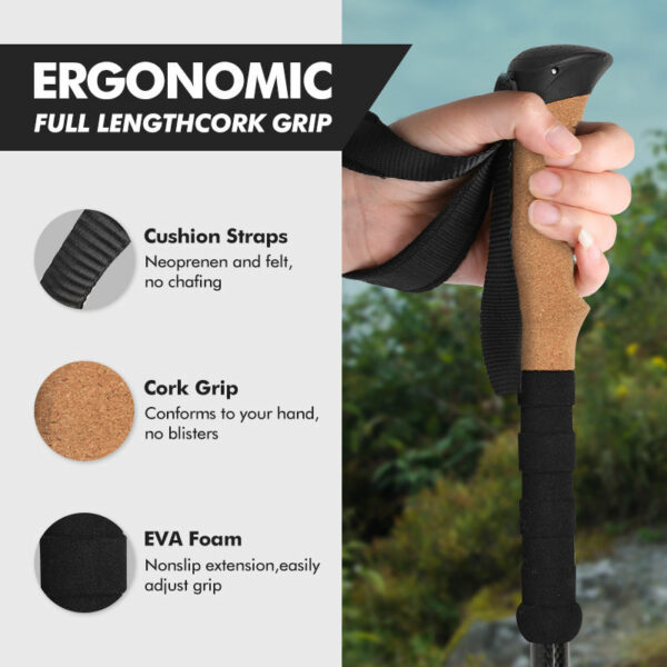 Carbon Fiber hiking stick