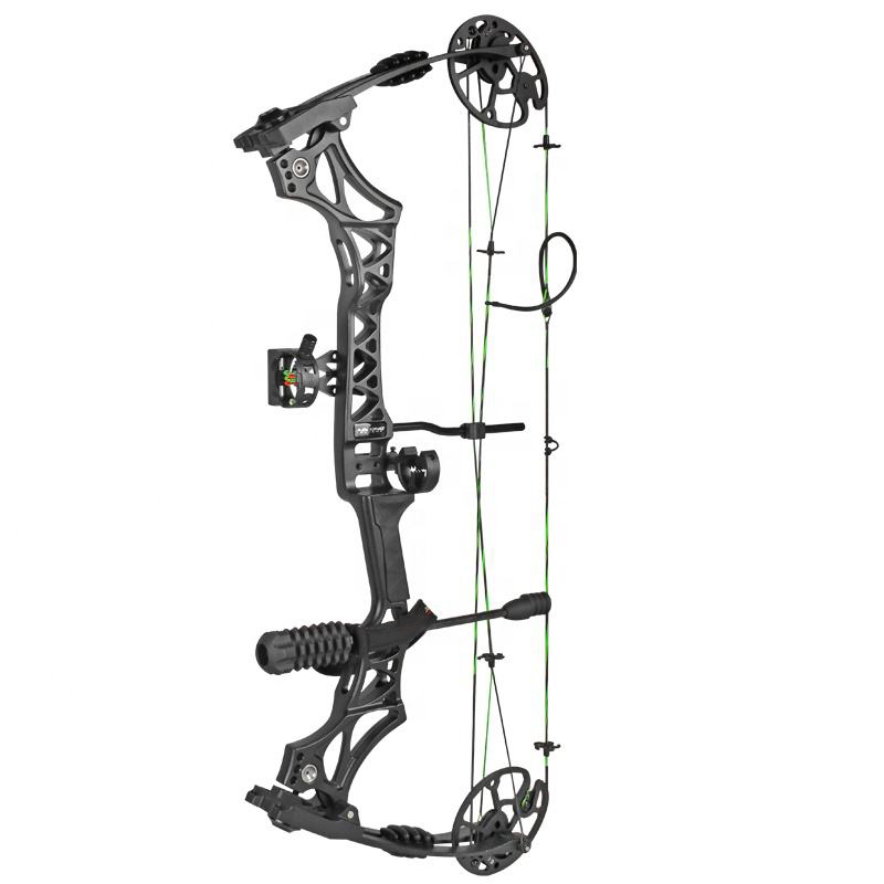 Shooting Archery Compound Bow