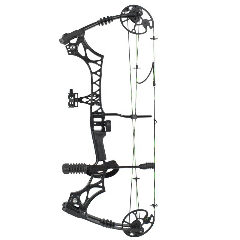 Shooting Archery Compound Bow