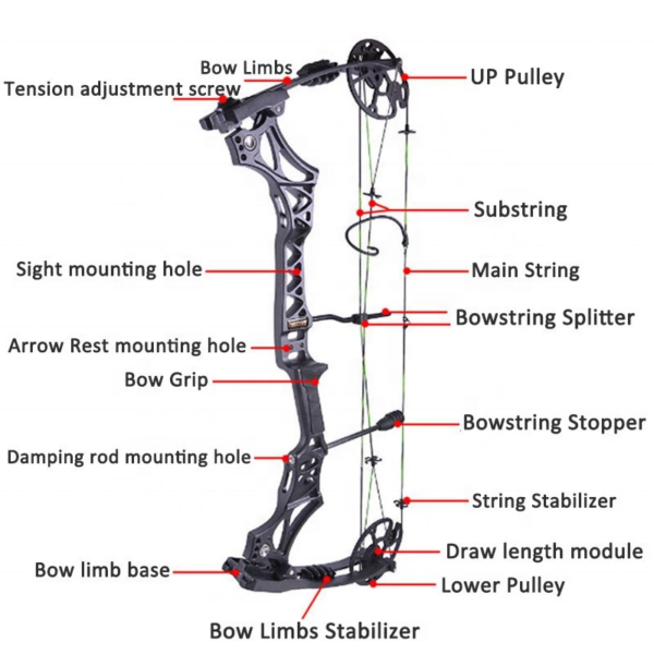 Shooting Archery Compound Bow