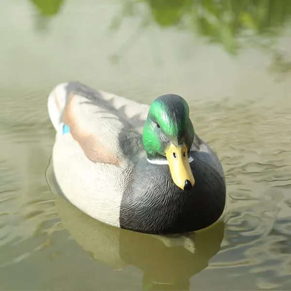hunting decoys