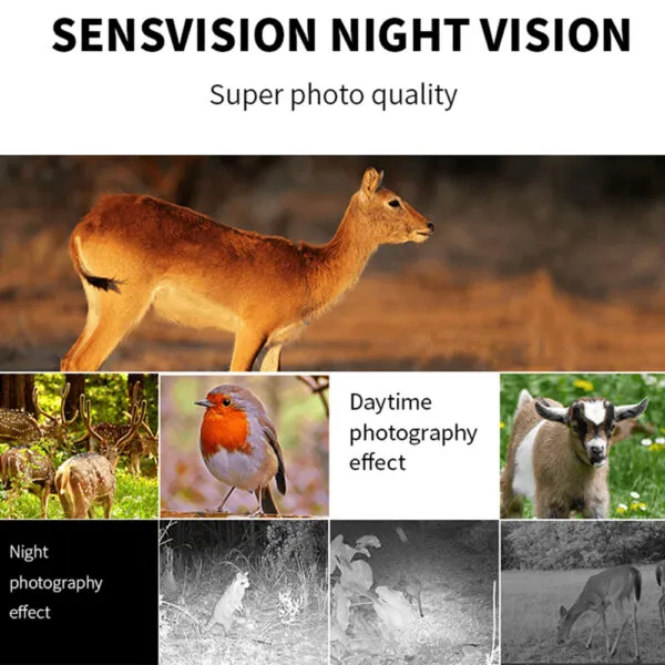 1080P 24MP Wildlife Mini Wifi Hunting Trail Camera