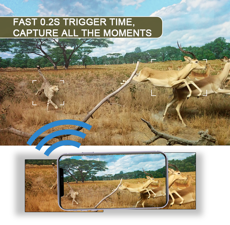 1080P 24MP Wildlife Mini Wifi Hunting Trail Camera