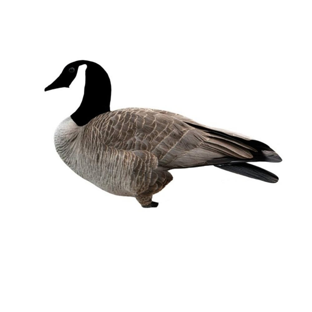 Canada Goose Silhouette Hunting Decoys