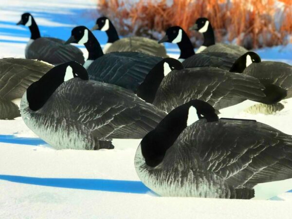 Canada Goose Silhouette Hunting Decoys