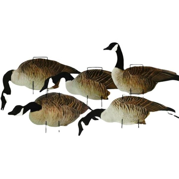 Canada Goose Silhouette Hunting Decoys