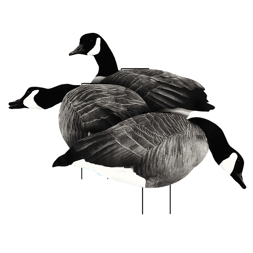 Canada Goose Silhouette Hunting Decoys