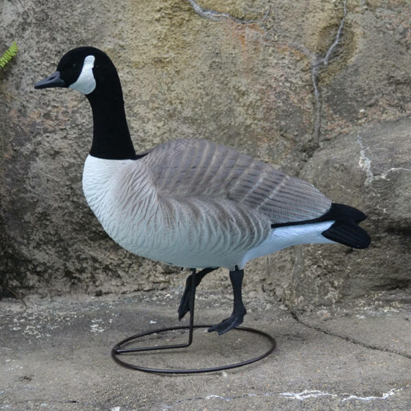 Canadian Snow Goose Hunting Decoys