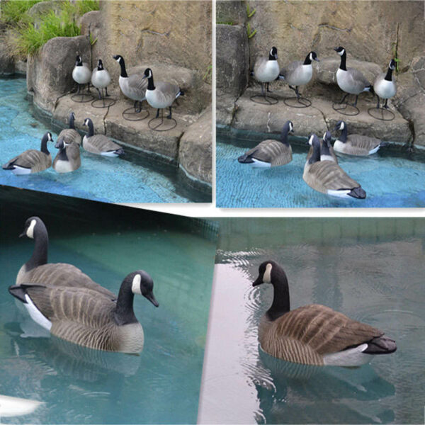 Canadian Snow Goose Hunting Decoys