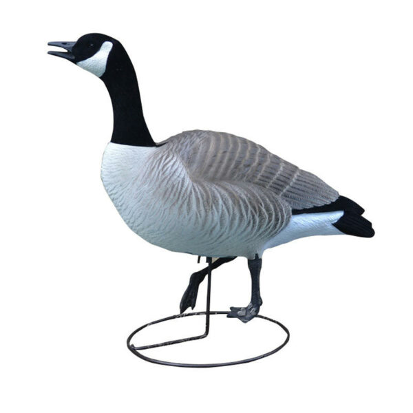 Canadian Snow Goose Hunting Decoys