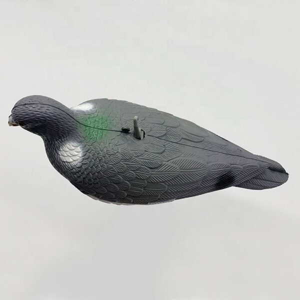 China Factory Wholesale Plastic Pigeon decoys Plastic