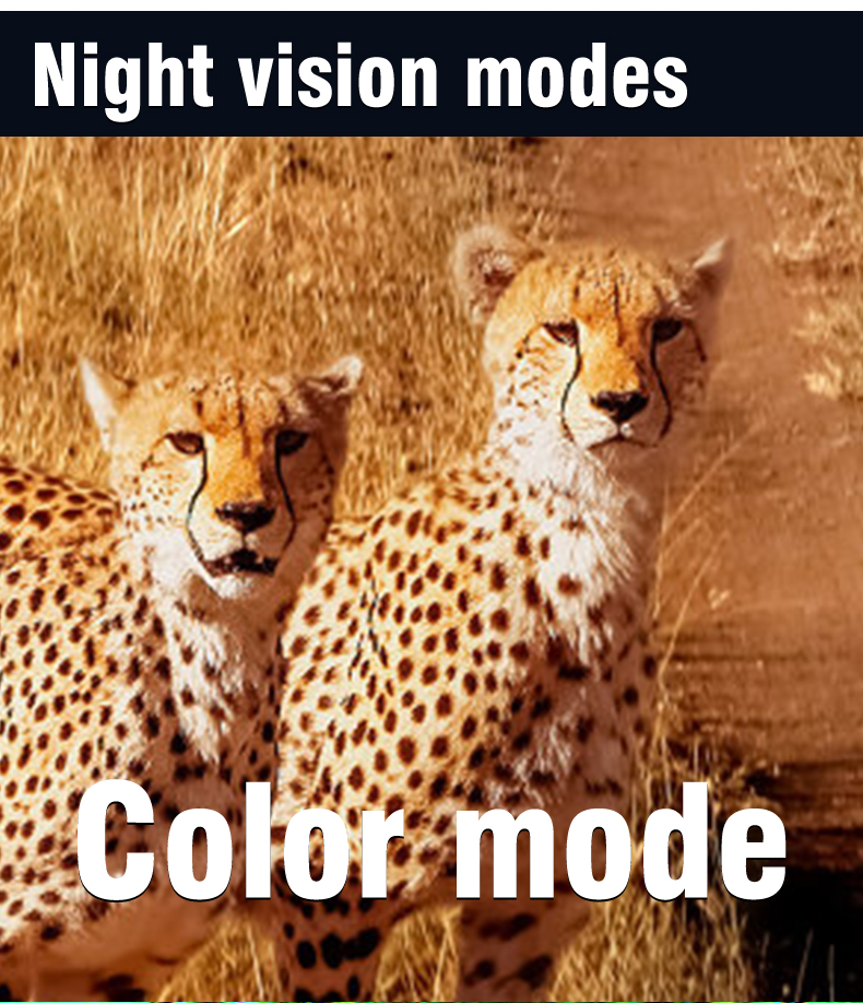 DIGITAL night vision scope OLED 1024 Detail