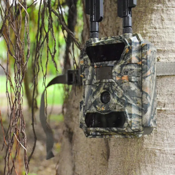 waterproof gsm mms 3g hunting camera